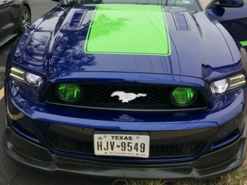 2010-25 Mustang - Pony LED Badge