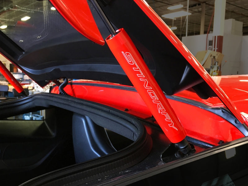 2014-19 Corvette - Trunk Shock Cover