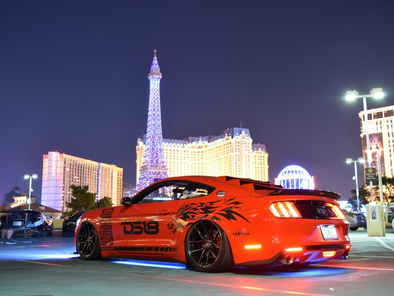 2015-23 Mustang - Bakkdraft Rear Window Louver
