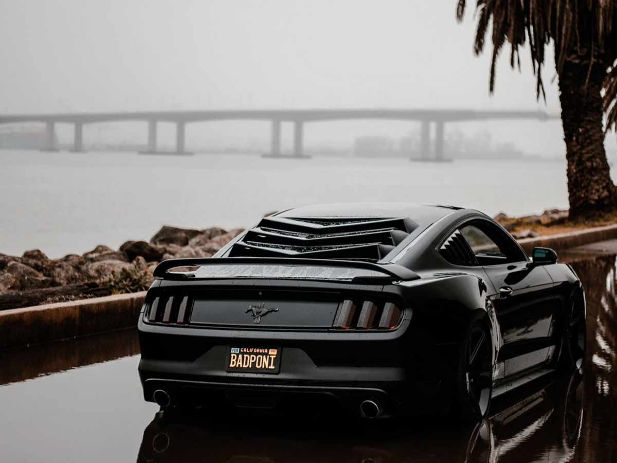 2015-23 Mustang - Bakkdraft Rear Window Louver
