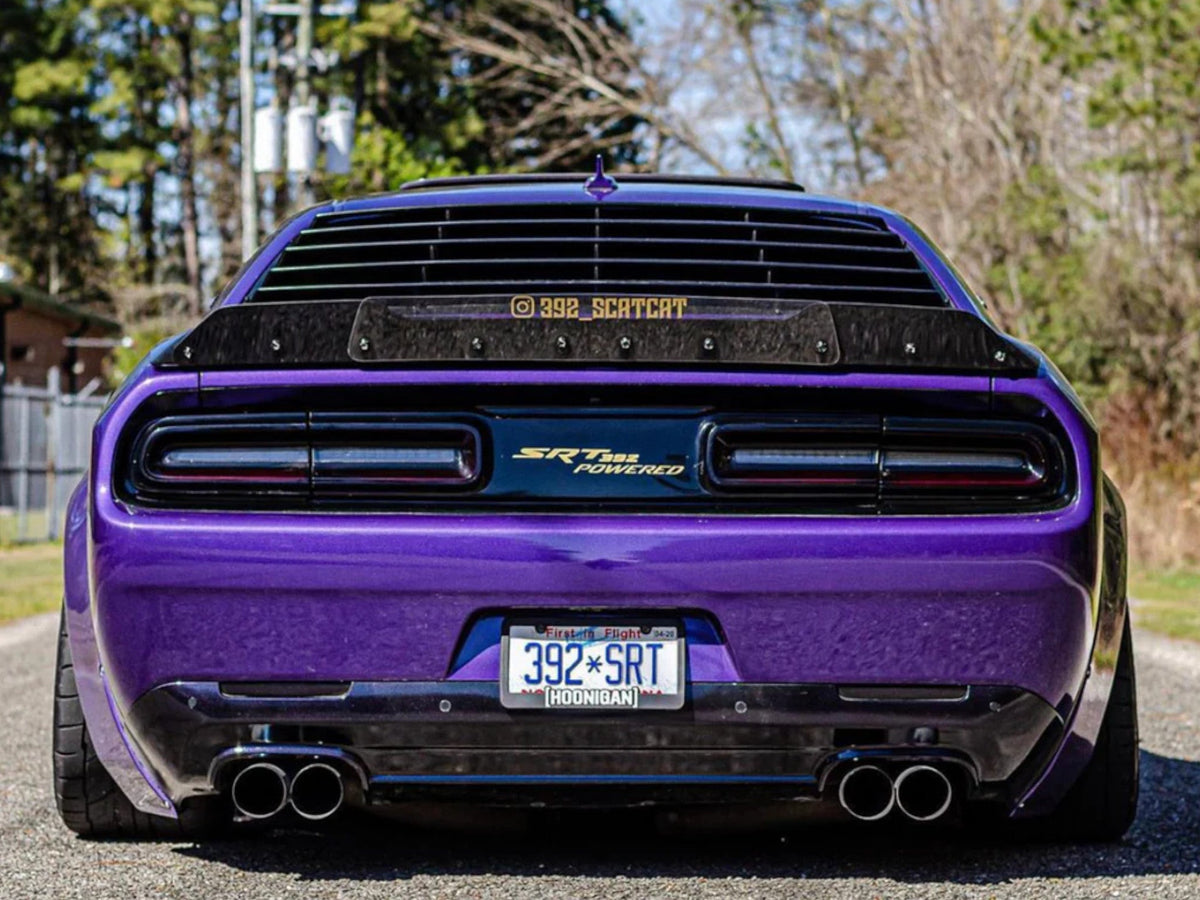 2008-23 Challenger - Wicker Bill