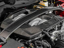 2024-25 Mustang GT Dark Horse - Strut Tower Bar - Carbon Fiber