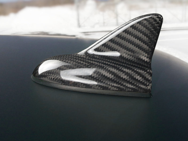 2015-23 Challenger - Antenna Cover - Carbon Fiber