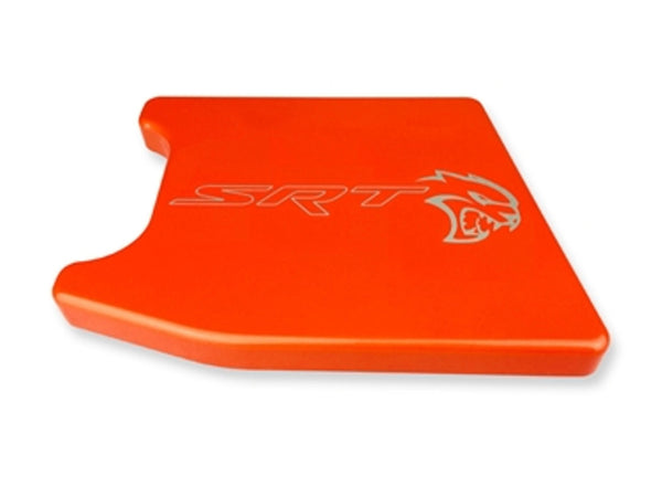2015-23 Challenger Charger - ABS Cover
