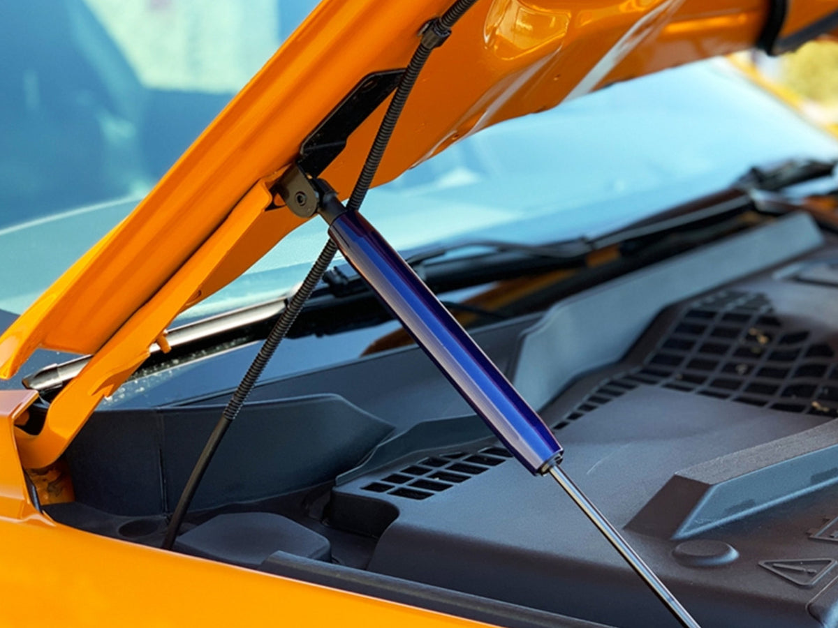 2015-23 Mustang - Hood Shock Cover