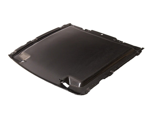 2020-23 Mustang GT500 - Hood Rain Catch Tray - Carbon Fiber