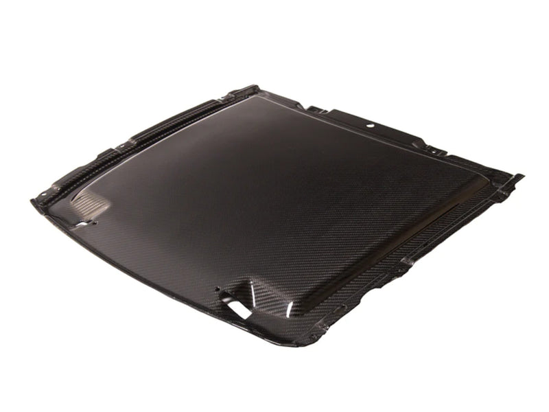 2020-23 Mustang GT500 - Hood Rain Catch Tray - Carbon Fiber