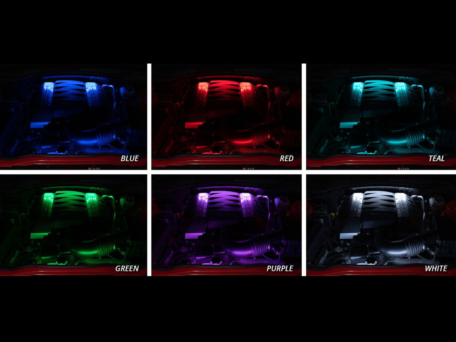 RGBW Multicolor LED Engine Bay Kit