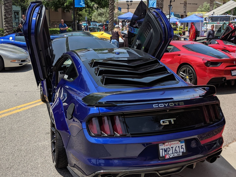 2015-23 Mustang - Bakkdraft Rear Window Louver