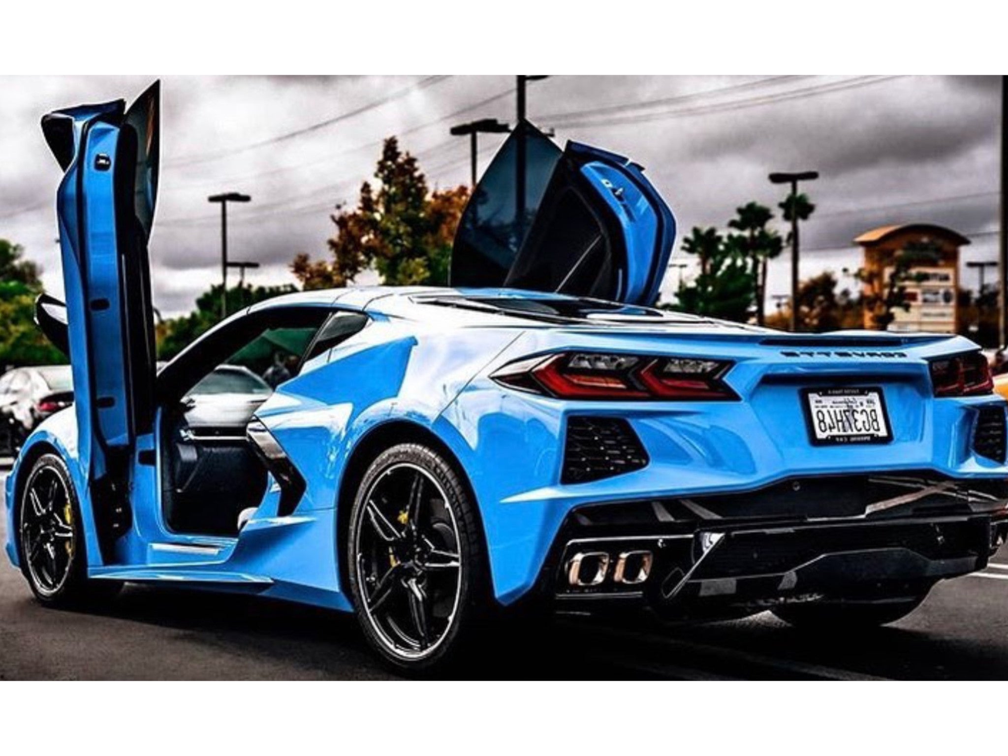 青単サイバーパーツ アストラル・リーフ アストラル・ハート など Corvette Vertical Lambo Doors | 2020-27 | American Authority | VDI