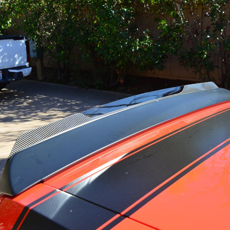 2008-23 Challenger - Carbon Fiber Wicker Bill