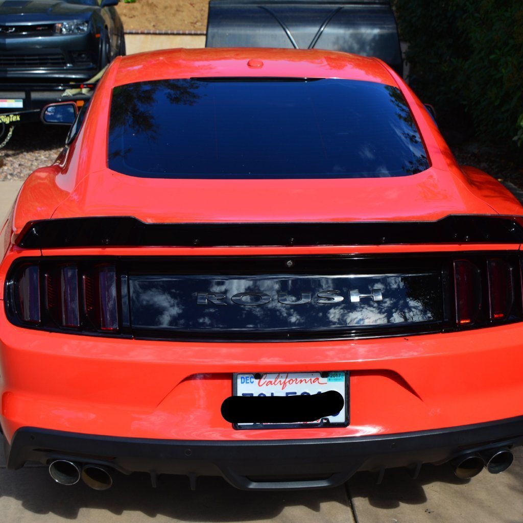 2015-23 Mustang - Roush Wicker Bill