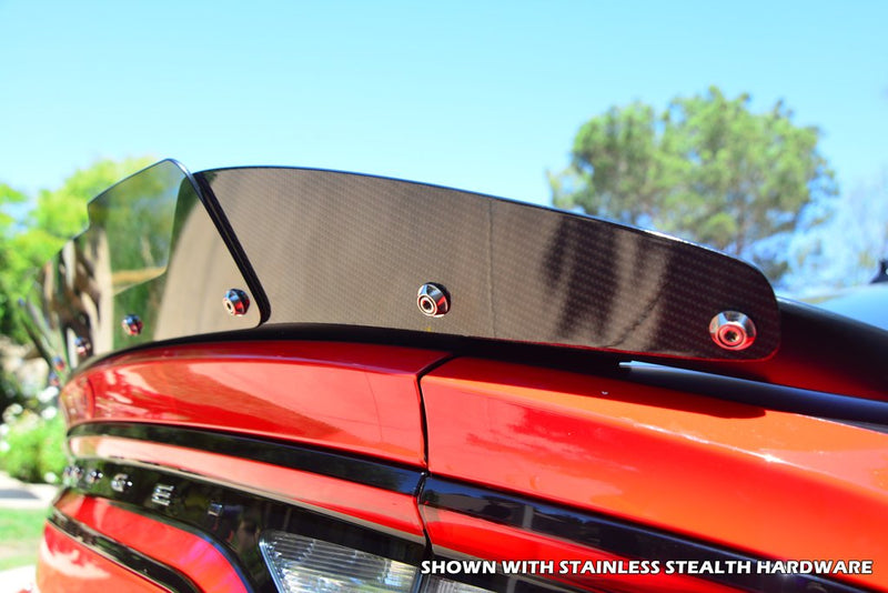2015-23 Charger - Carbon Fiber Wicker Bill