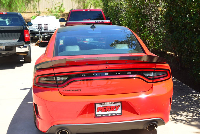 2015-23 Charger - Carbon Fiber Wicker Bill