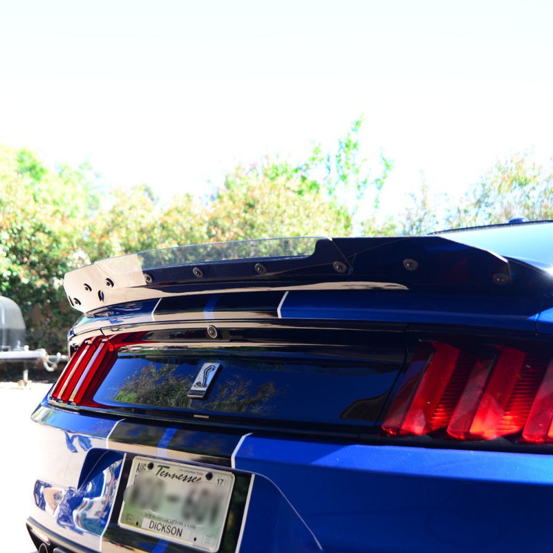 2015-23 Mustang - Track Pack Wicker Bill - Carbon Fiber