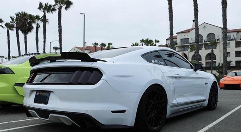 2015-23 Mustang - Cali Special Wicker Bill